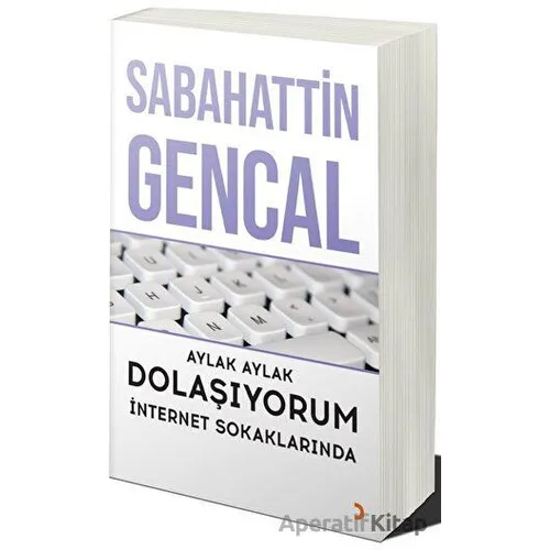 Aylak Aylak Dolaşıyorum İnternet Sokaklarında - Sabahattin Gencal - Cinius Yayınları