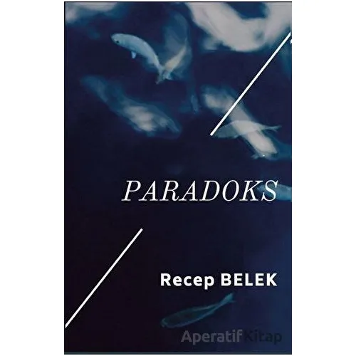 Paradoks - Recep Belek - Platanus Publishing