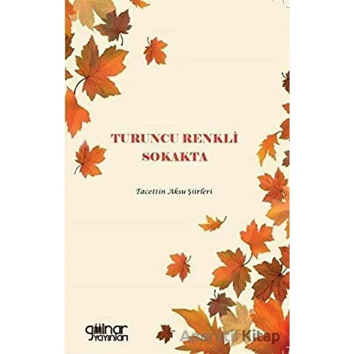 Turuncu Renkli Sokakta - Tacettin Aksu - Gülnar Yayınları