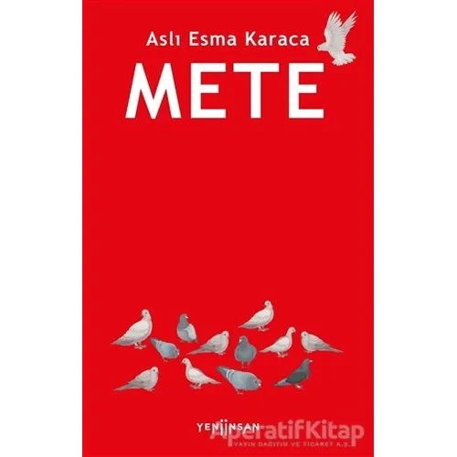 Mete - Aslı Esma Karaca - Yeni İnsan Yayınevi