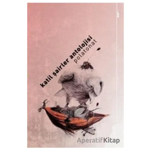 Katil Şairler Antolojisi Polaonat - Polat Onat - Fihrist Kitap