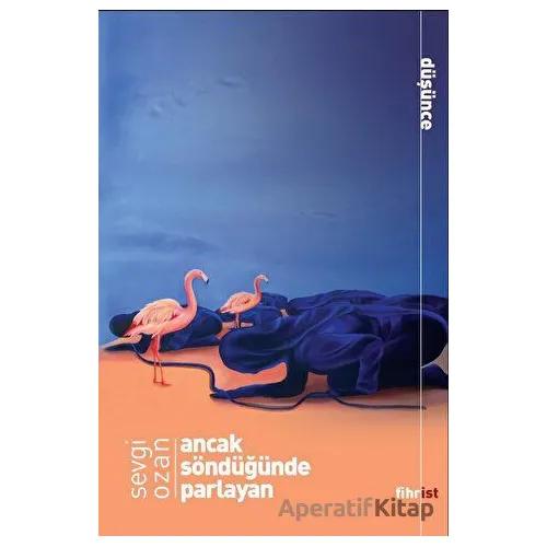 Ancak Söndüğünde Parlayan - Sevgi Ozan - Fihrist Kitap