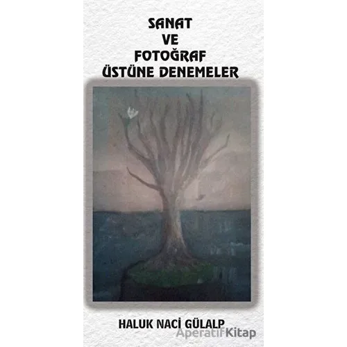 Sanat Ve Fotoğraf Üstüne Denemeler - Haluk Naci Gülalp - Platanus Publishing