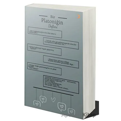Bir Platoniğin Defteri - Şule Çegen - Cinius Yayınları