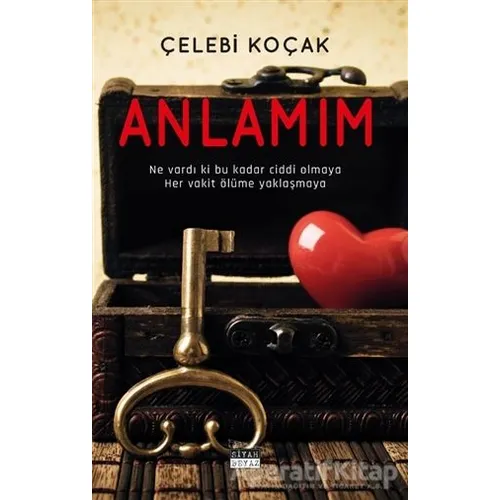 Anlamım - Çelebi Koçak - Siyah Beyaz Yayınları
