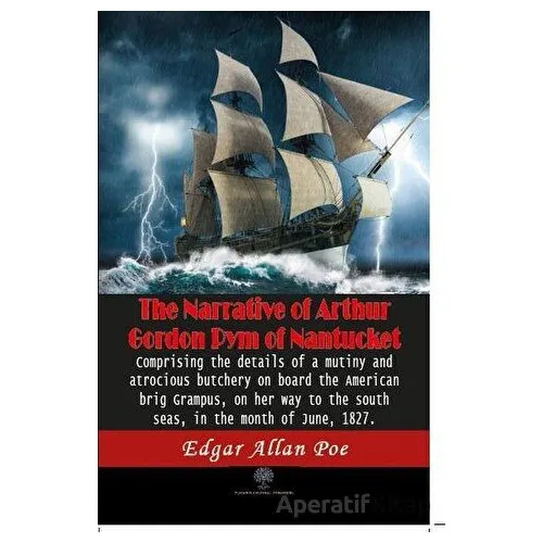 The Narrative Of Arthur Gordon Pym Of Nantucket - Edgar Allan Poe - Platanus Publishing