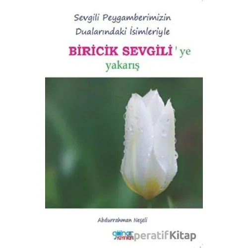 Biricik Sevgiliye Yakarış - Abdurrahman Neşeli - Gülnar Yayınları