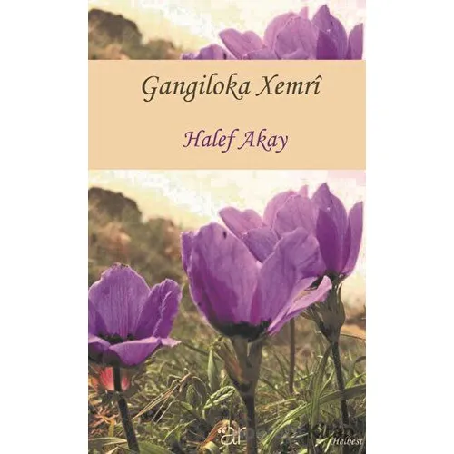 Gangiloka Xemri - Halef Akay - Ar Yayınları