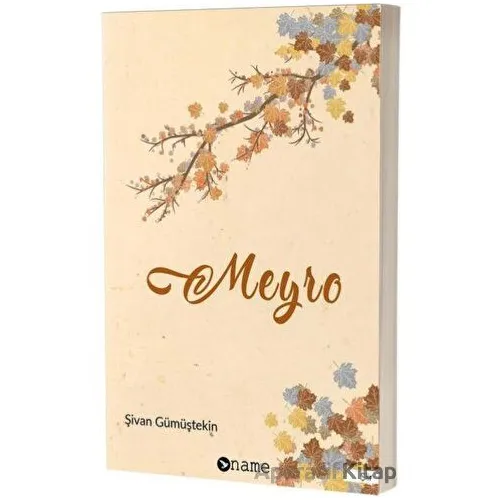 Meyro - Şivan Gümüştekin - Name Yayınları