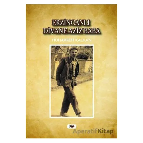 Erzincanlı Divane Aziz Baba - Muharrem Kalkan - Tilki Kitap