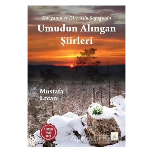Umudun Alıngan Şiirleri - Mustafa Ercan - Zinde Yayıncılık