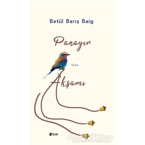Panayır Akşamı - Betül Barış Baig - Şule Yayınları