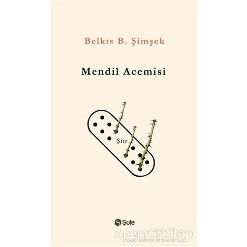 Mendil Acemisi - Belkıs B. Şimşek - Şule Yayınları