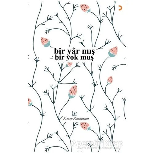 Bir Yar mış - Bir Yok muş - Recep Karaaslan - Cinius Yayınları