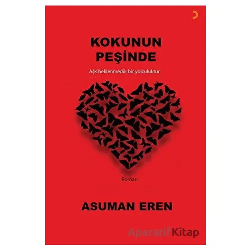 Kokunun Peşinde - Asuman Eren - Cinius Yayınları