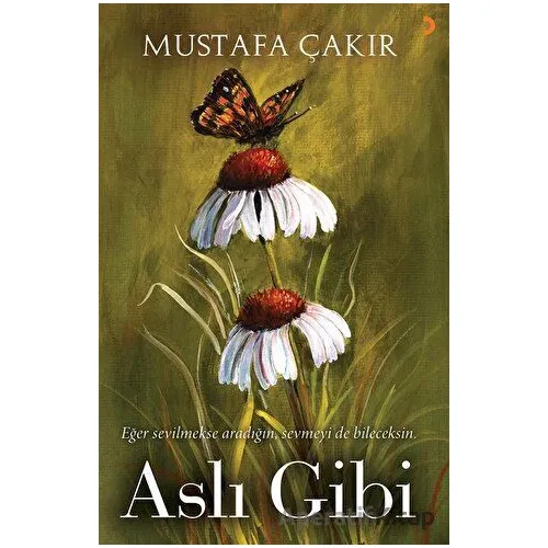Aslı Gibi - Mustafa Çakır - Cinius Yayınları