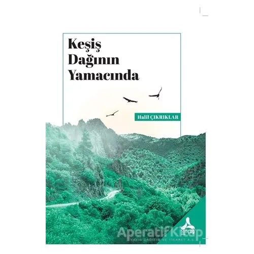 Keşiş Dağının Yamacında - Halil Çıkrıklar - Sonçağ Yayınları