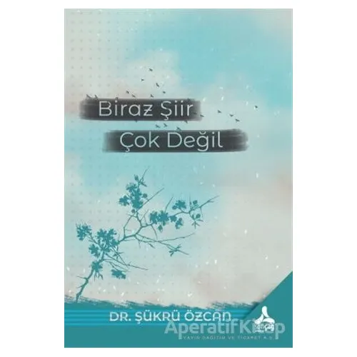 Biraz Şiir Çok Değil - Şükrü Özcan - Sonçağ Yayınları