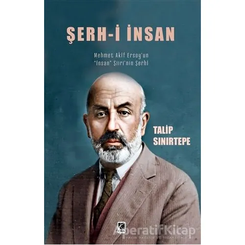 Şerh-i İnsan - Talip Sınırtepe - Çıra Yayınları