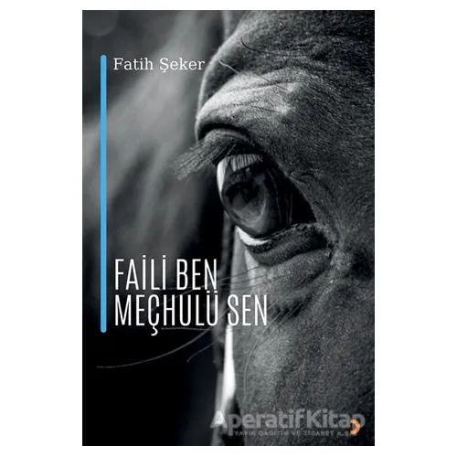 Faili Ben Meçhulü Sen - Fatih Şeker - Cinius Yayınları