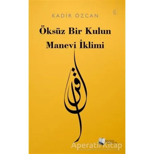 Öksüz Bir Kulun Manevi İklimi - Kadir Özcan - Karina Yayınevi