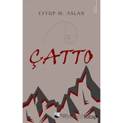 Çatto - Eyyup M. Aslan - Karina Yayınevi