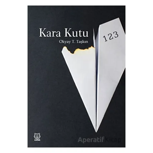 Kara Kutu - Okyay T. Taşkın - Luna Yayınları