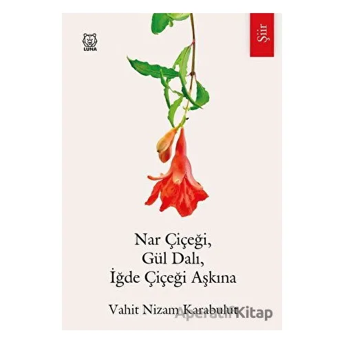 Nar Çiçeği, Gül Dalı, İğde Çiçeği Aşkına - Vahit Nizam Karabulut - Luna Yayınları