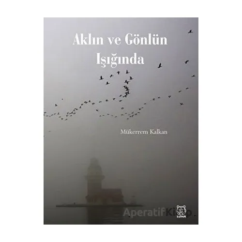 Aklın ve Gönlün Işığında - Mükerrem Kalkan - Luna Yayınları
