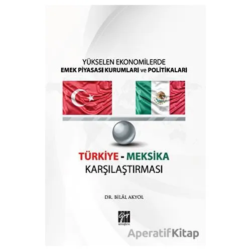 Yükselen Ekonomilerde Emek Piyasası Kurumları ve Politikaları - Türkiye Meksika Karşılaştırması