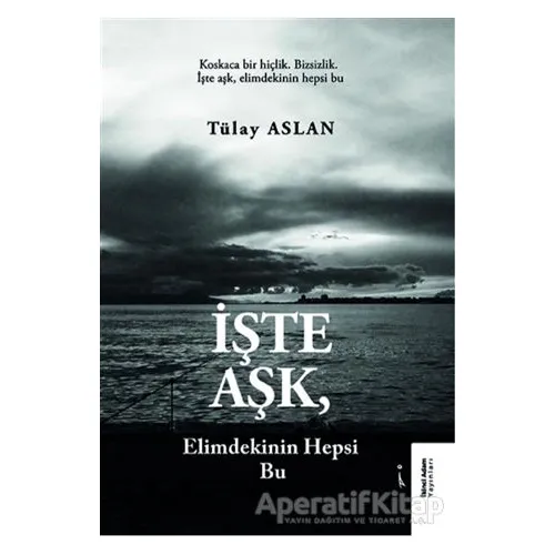 İşte Aşk, Elimdekinin Hepsi Bu - Tülay Aslan - İkinci Adam Yayınları