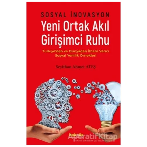 Sosyal İnovasyon Yeni Ortak Akıl Girişimci Ruhu - Seyithan Ahmet Ateş - Kaknüs Yayınları
