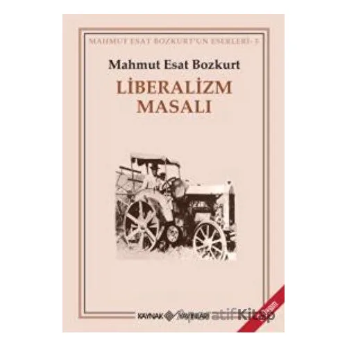 Liberalizm Masalı - Mahmut Esat Bozkurt - Kaynak Yayınları