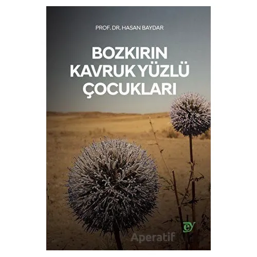 Bozkırın Kavruk Yüzlü Çocukları - Hasan Baydar - Ey Yayınları