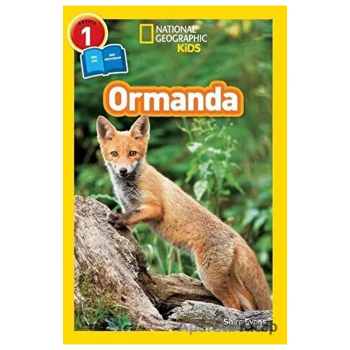Ormanda - Seviye 1 - Shira Evans - Beta Kids