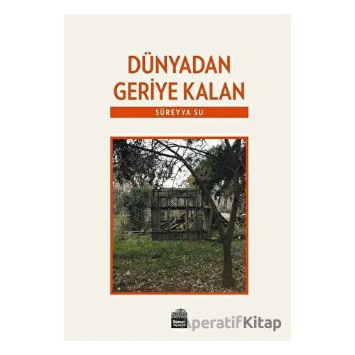 Dünyadan Geriye Kalan - Süreyya Su - Sümer Yayıncılık
