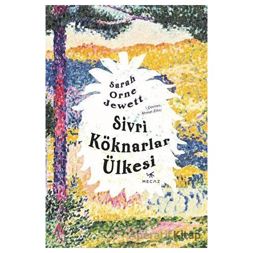 Sivri Köknarlar Ülkesi - Sarah Orne Jewett - Mecaz Yayınları