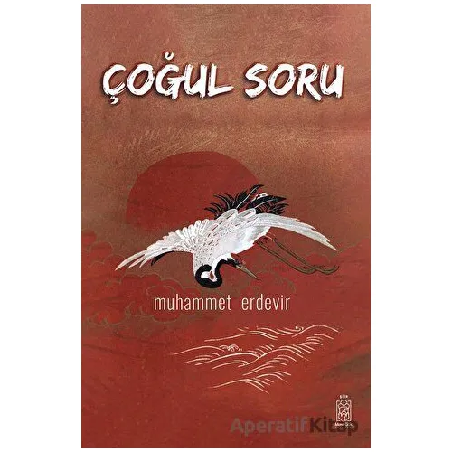 Çoğul Soru - Muhammet Erdevir - Mavi Gök Yayınları