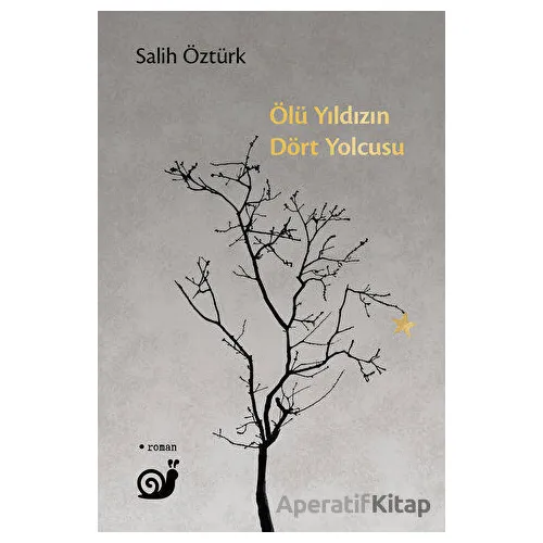 Ölü Yıldızın Dört Yolcusu - Salih Öztürk - Sakin Kitap