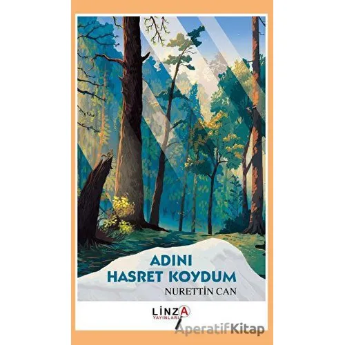 Adını Hasret Koydum - Nurettin Can - Linza Yayınları