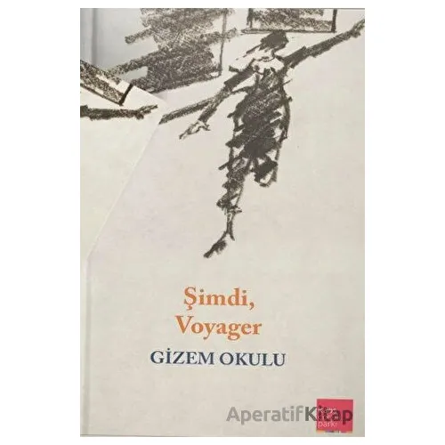 Şimdi, Voyager - Gizem Okulu - Kaos Çocuk Parkı Yayınları