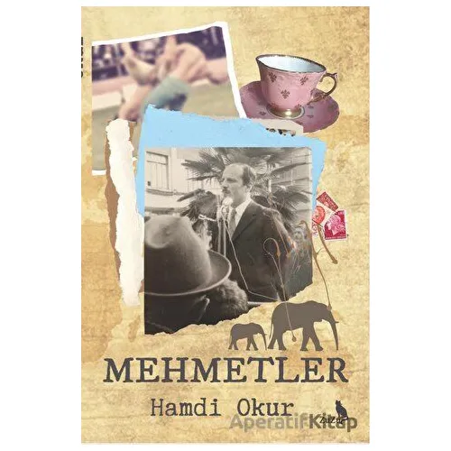 Mehmetler - Hamdi Okur - Zuzu Kitap