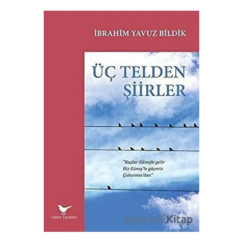 Üç Telden Şiirler - İbrahim Yavuz Bildik - Günce Yayınları