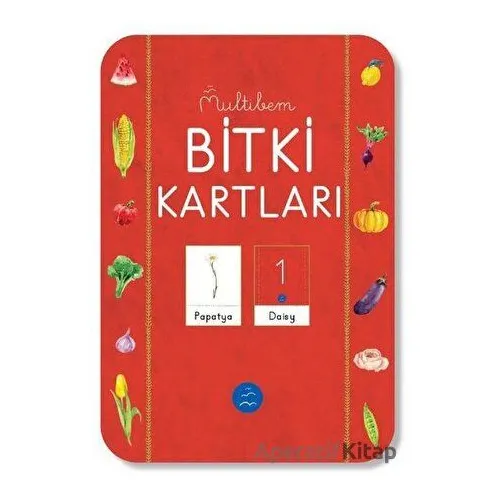 Bitki Kartları - Kolektif - Multibem Yayınları