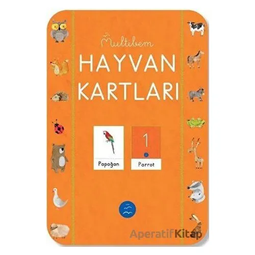 Hayvan Kartları - Kolektif - Multibem Yayınları