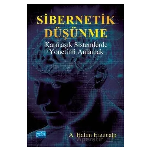 Sibernetik Düşünme Karmaşık Sistemlerde Yönetimi Anlamak