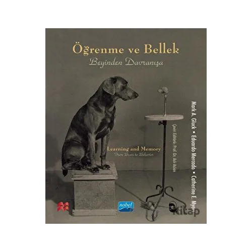 Öğrenme Ve Bellek - Beyinden Davranışa - Mark A. Gluck - Nobel Akademik Yayıncılık