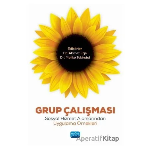 Grup Çalışması - Ahmet Ege - Nobel Akademik Yayıncılık