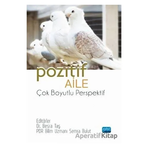 Pozitif Aile - Çok Boyutlu Perspektif - Kolektif - Nobel Akademik Yayıncılık