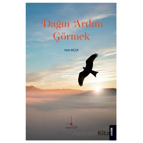 Dağın Ardını Görmek - Halit Biçer - Nomos Kitap